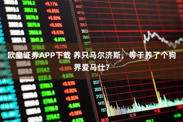 欧皇证券APP下载 养只马尔济斯，等于养了个狗界爱马仕？