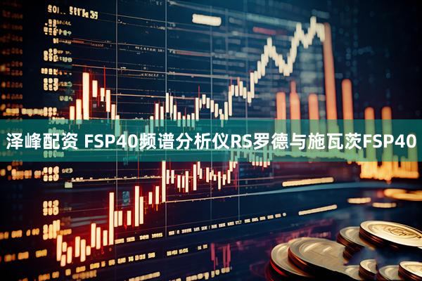 泽峰配资 FSP40频谱分析仪RS罗德与施瓦茨FSP40