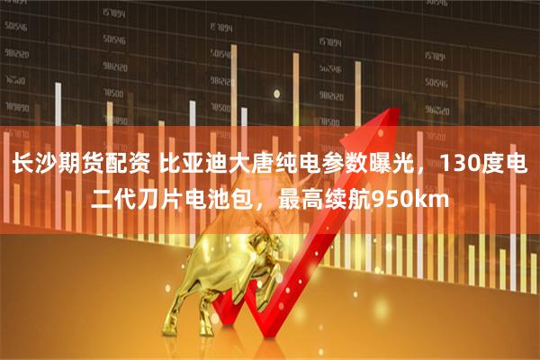 长沙期货配资 比亚迪大唐纯电参数曝光，130度电二代刀片电池包，最高续航950km