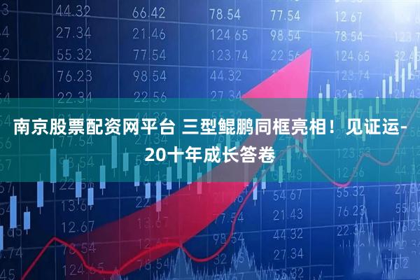 南京股票配资网平台 三型鲲鹏同框亮相！见证运-20十年成长答卷